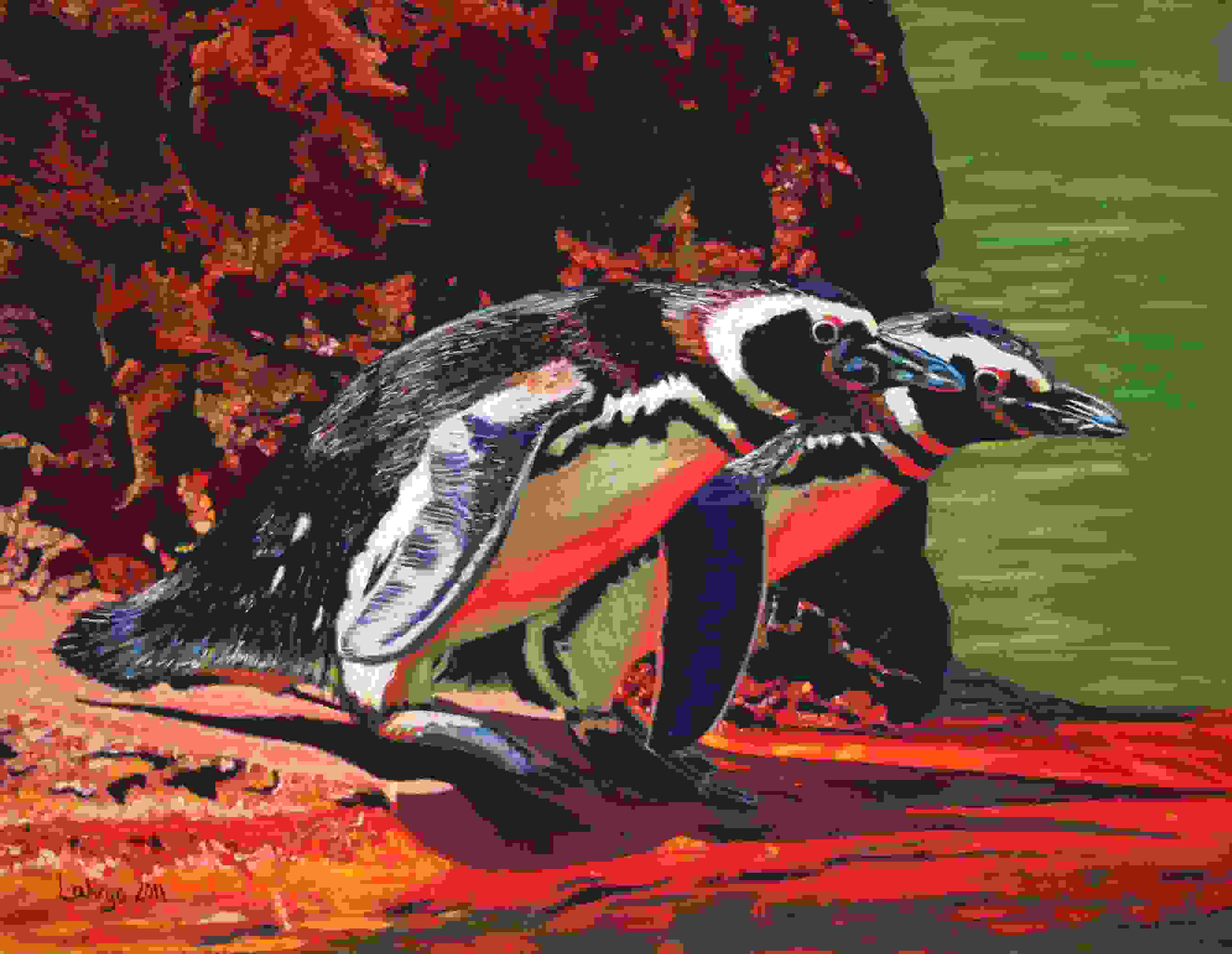 Magellanic Penguins